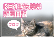 KEN動物病院公式ブログ「KEN動物病院騒動日記」
